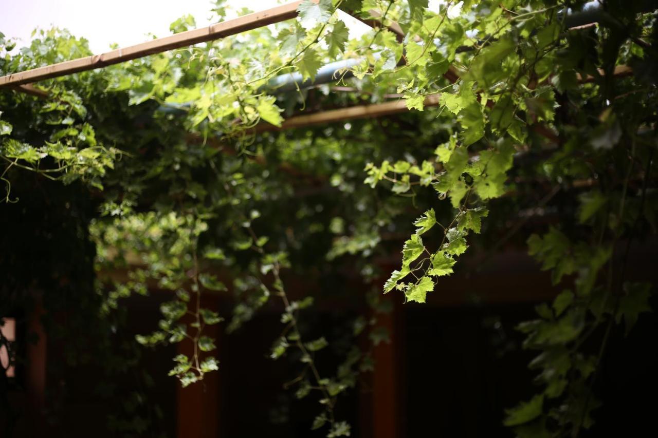 مدلة Auberge Jaafar المظهر الخارجي الصورة